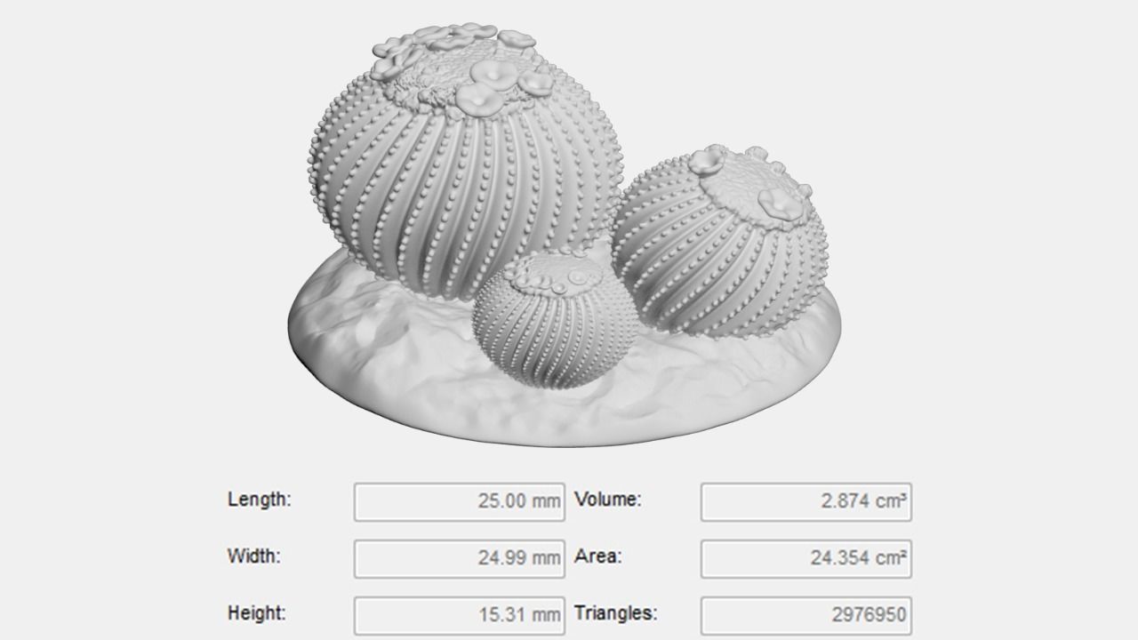 Tabletop Miniatures - Sand Desert Cactus Package 3D print model_5