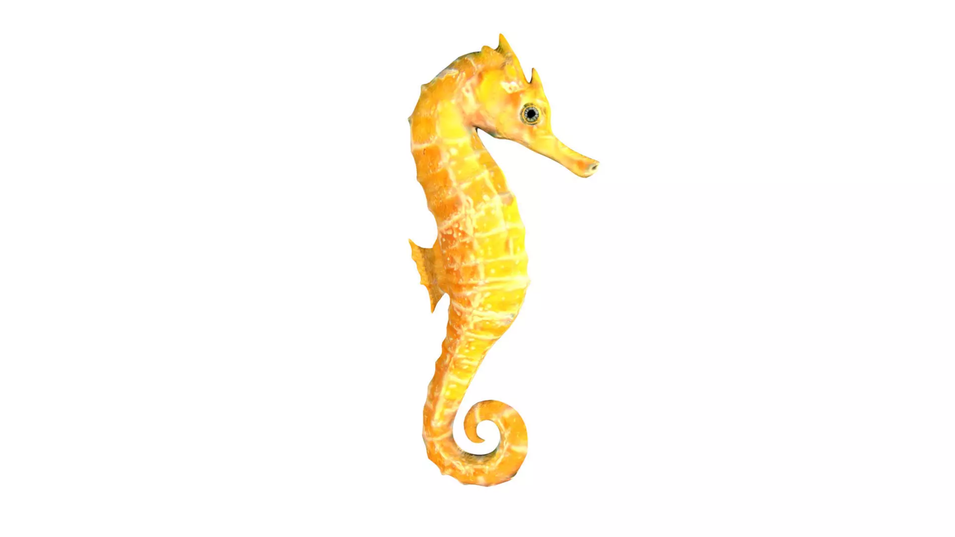 Seahorse wall art Low-poly 3D model