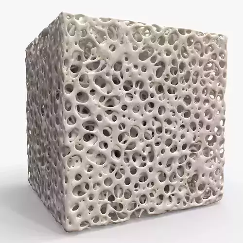 Bone Sponge Structure Low-poly 3D model