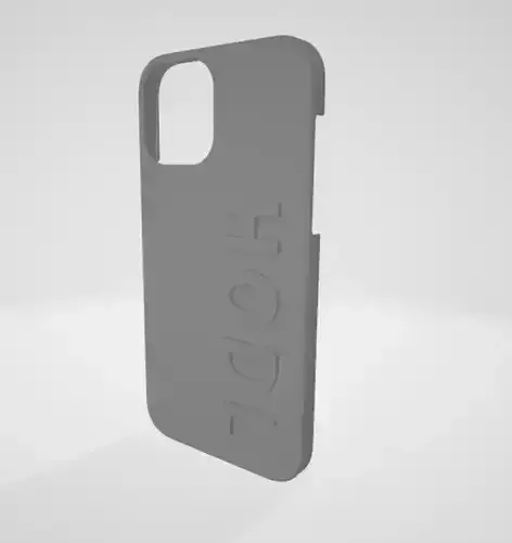 IPhone 12 and 12 PRO HODL case