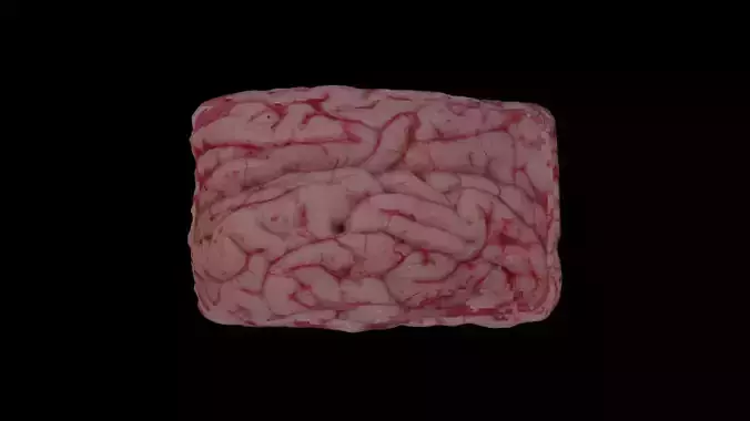 Raw Meat-low poly 3D model