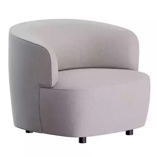 Elain Armchair by Molteni and C 3D model
