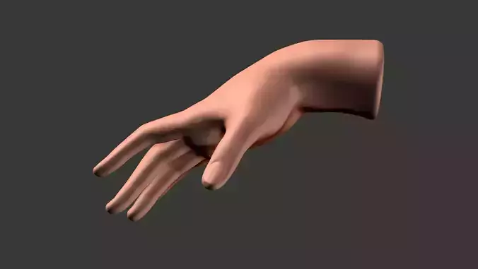 Female Hand 3d print