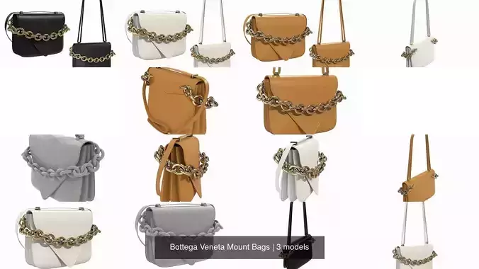 Bottega Veneta Mount Bags