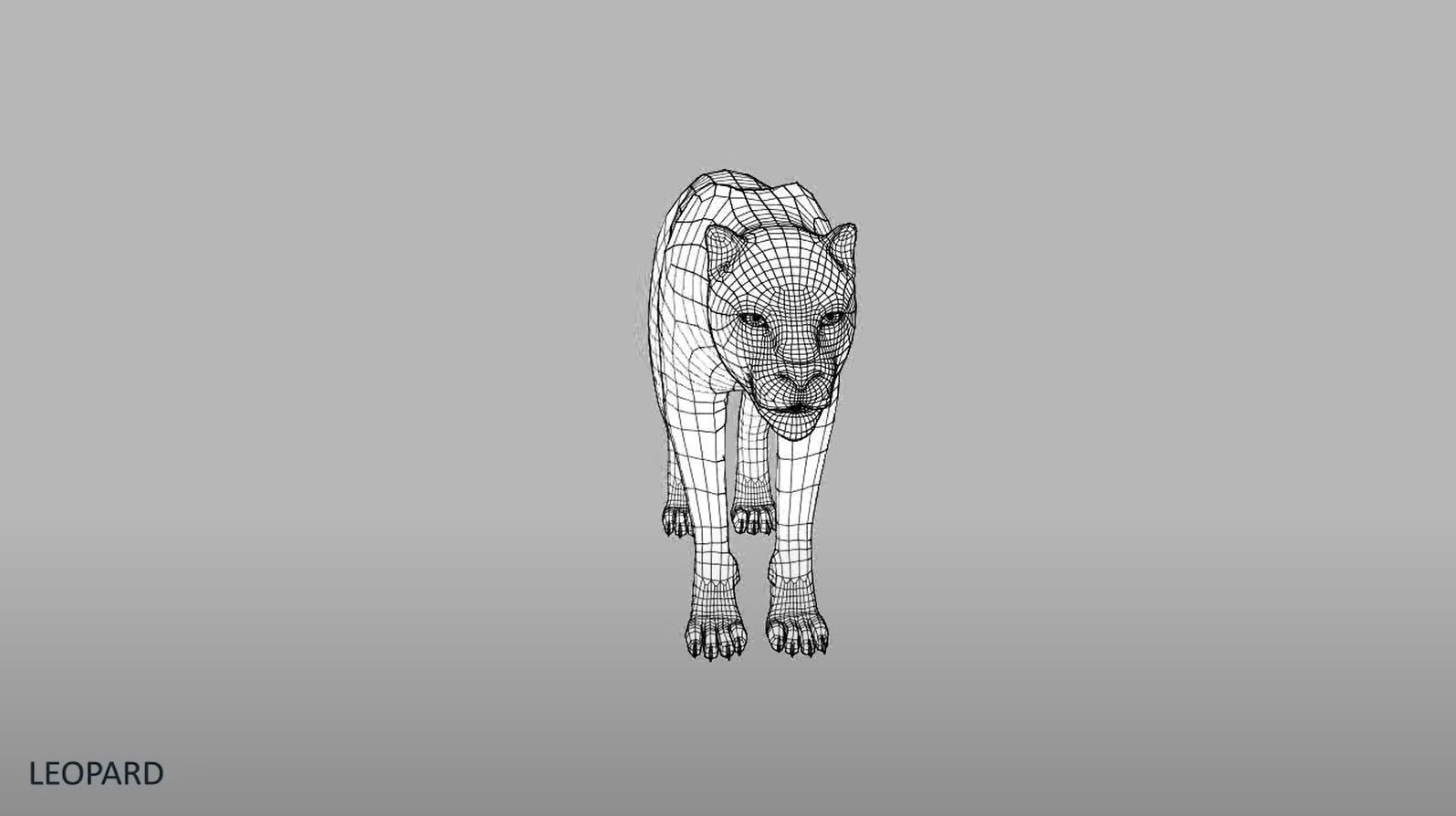 Leopard in wild 3D model_3