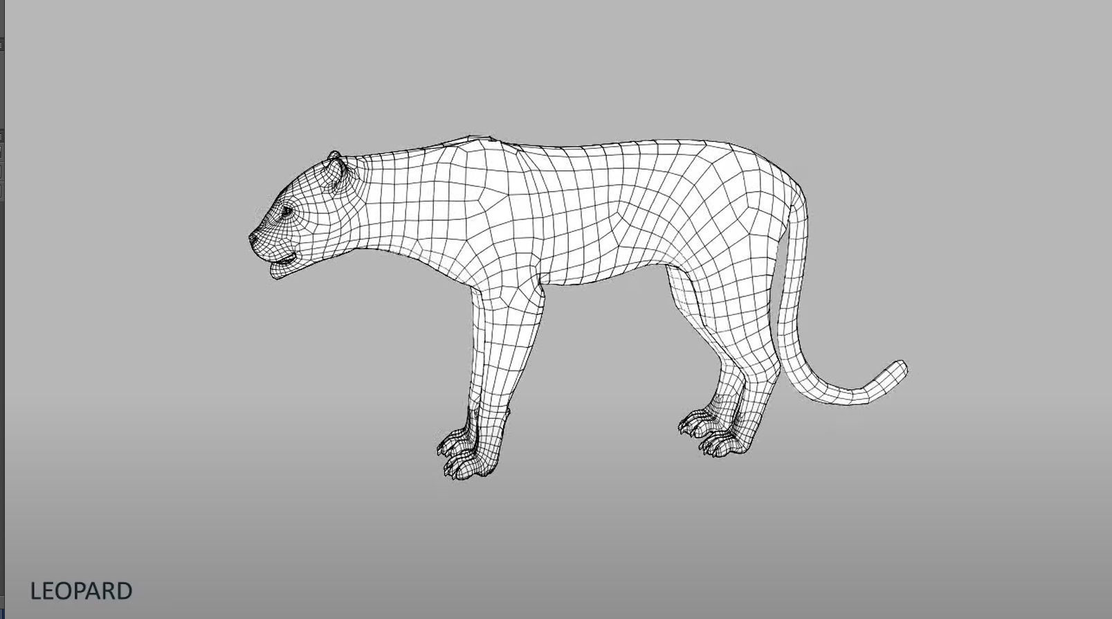 Leopard in wild 3D model_2