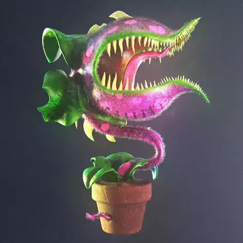 Chomper monster plant in pot