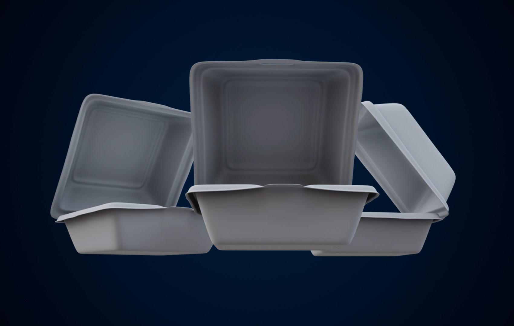 Disposable - Food Styrofoam Container 3D model_14