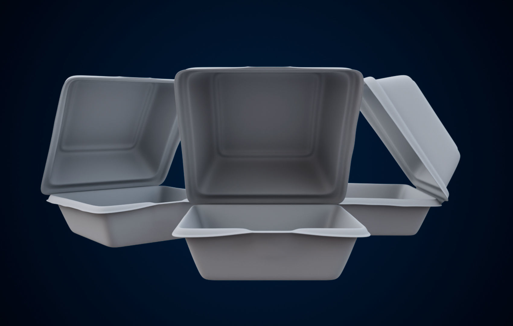 Disposable - Food Styrofoam Container 3D model_17