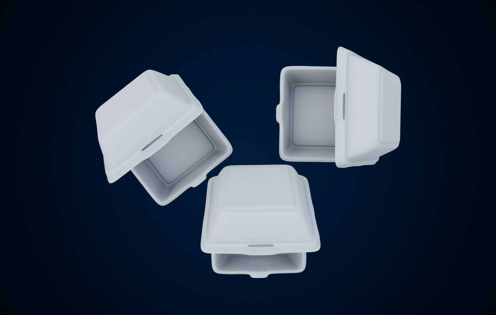Disposable - Food Styrofoam Container 3D model_12