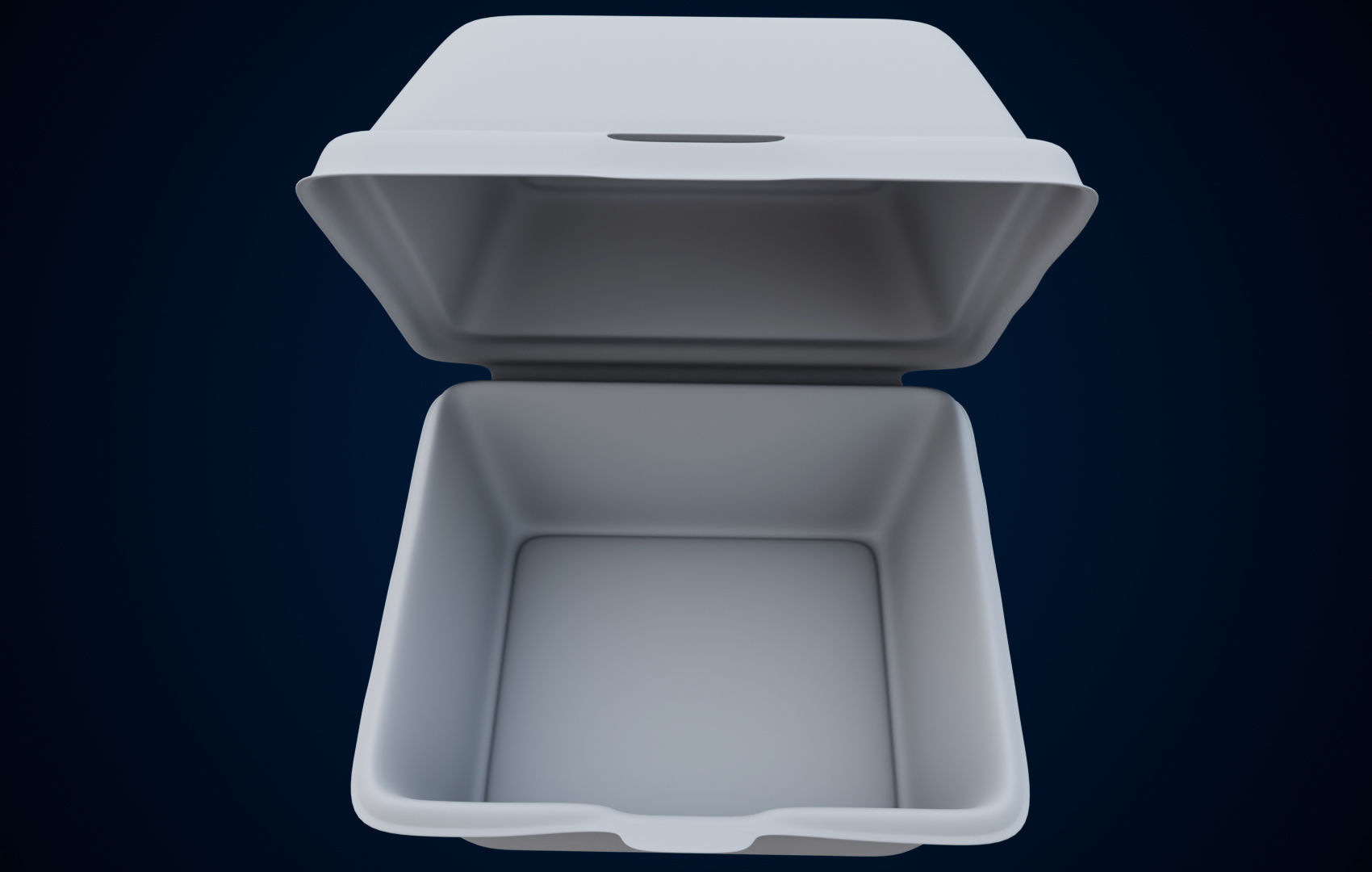 Disposable - Food Styrofoam Container 3D model_22