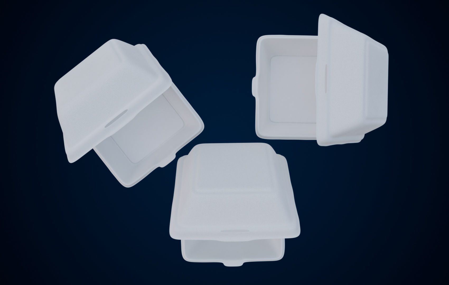 Disposable - Food Styrofoam Container 3D model_8