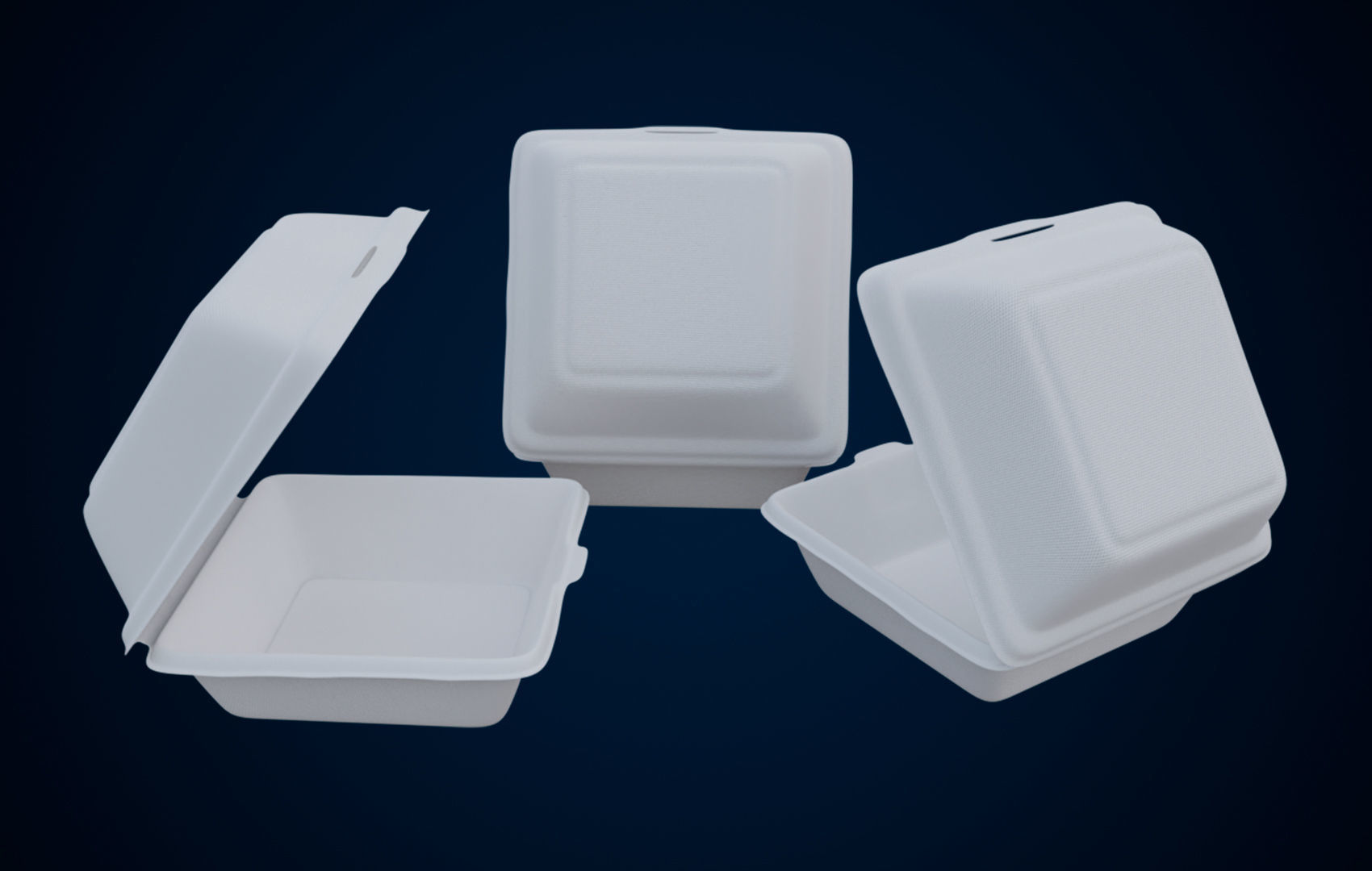 Disposable - Food Styrofoam Container 3D model_6