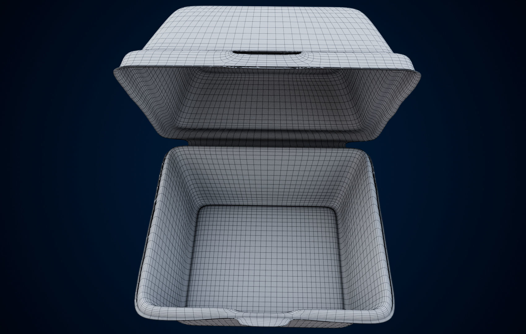 Disposable - Food Styrofoam Container 3D model_31