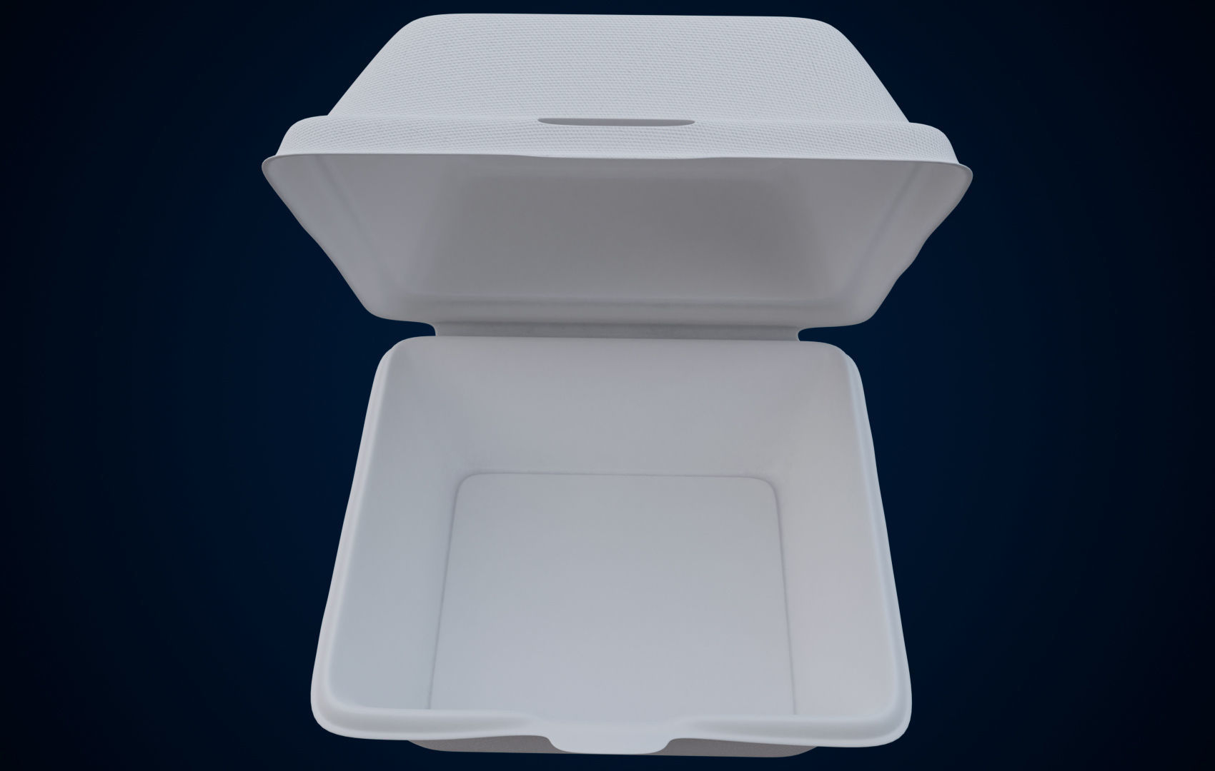 Disposable - Food Styrofoam Container 3D model_9