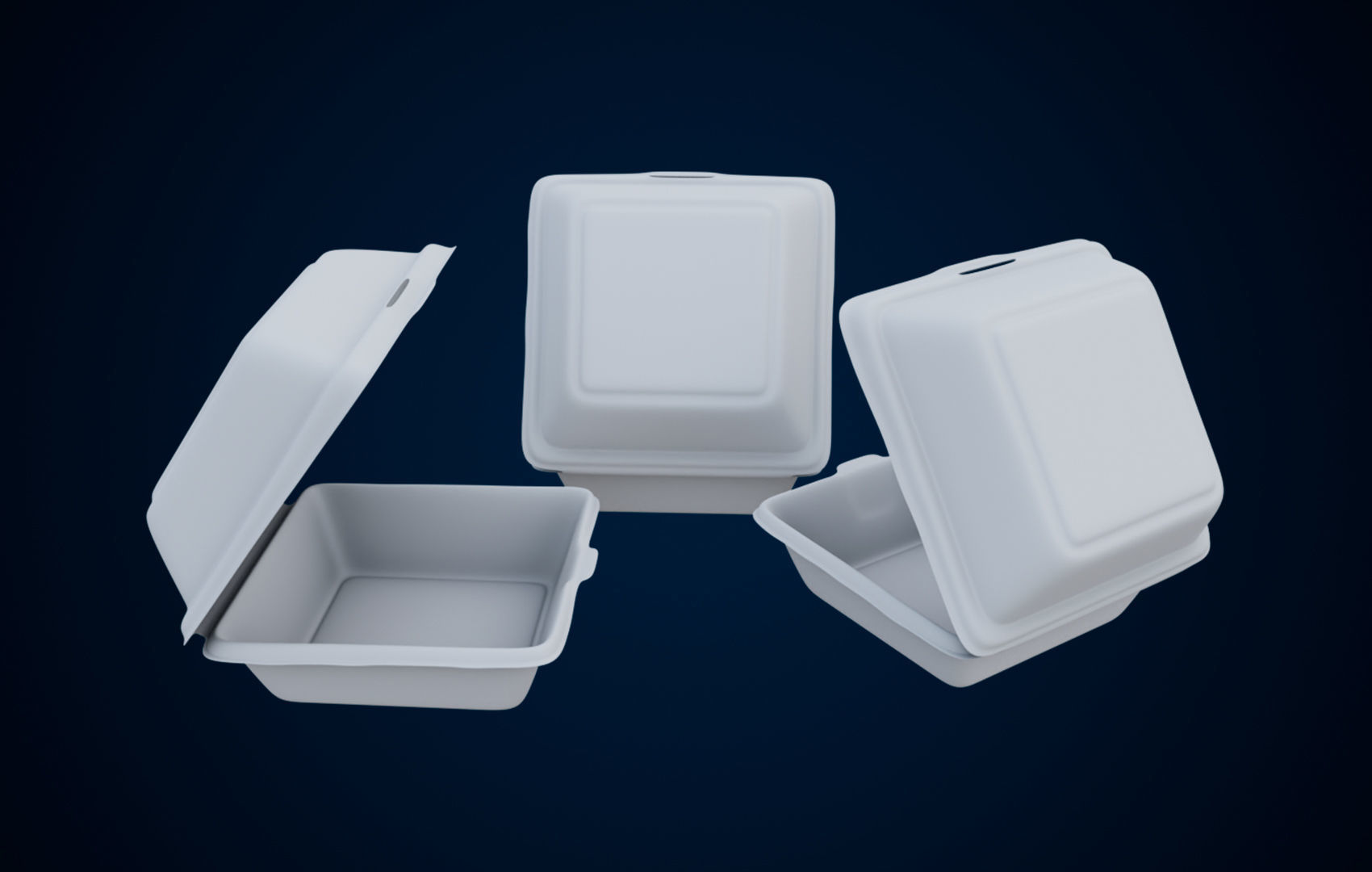 Disposable - Food Styrofoam Container 3D model_26