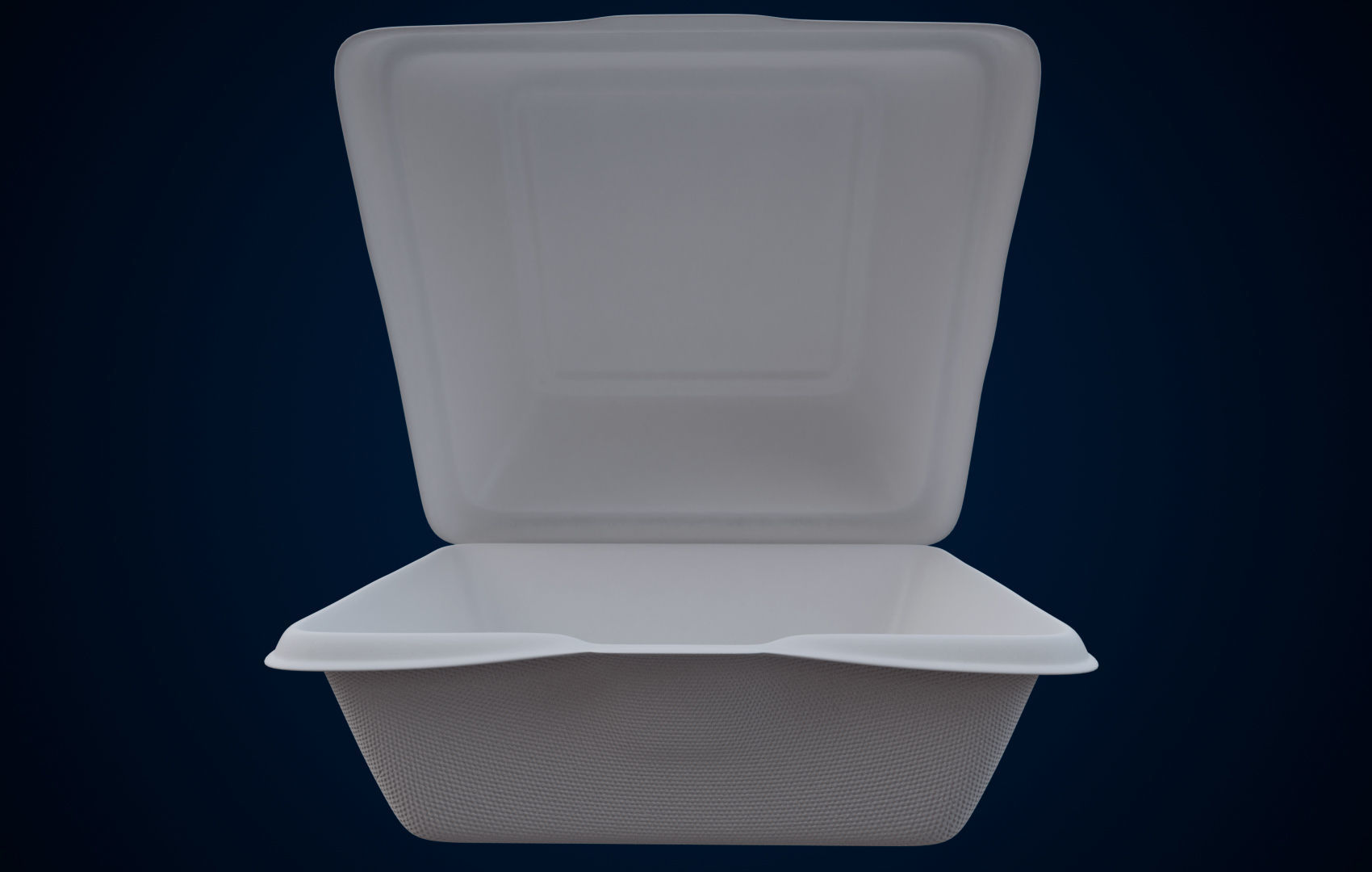 Disposable - Food Styrofoam Container 3D model_1
