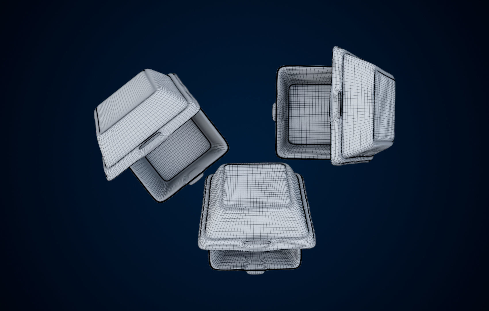 Disposable - Food Styrofoam Container 3D model_20