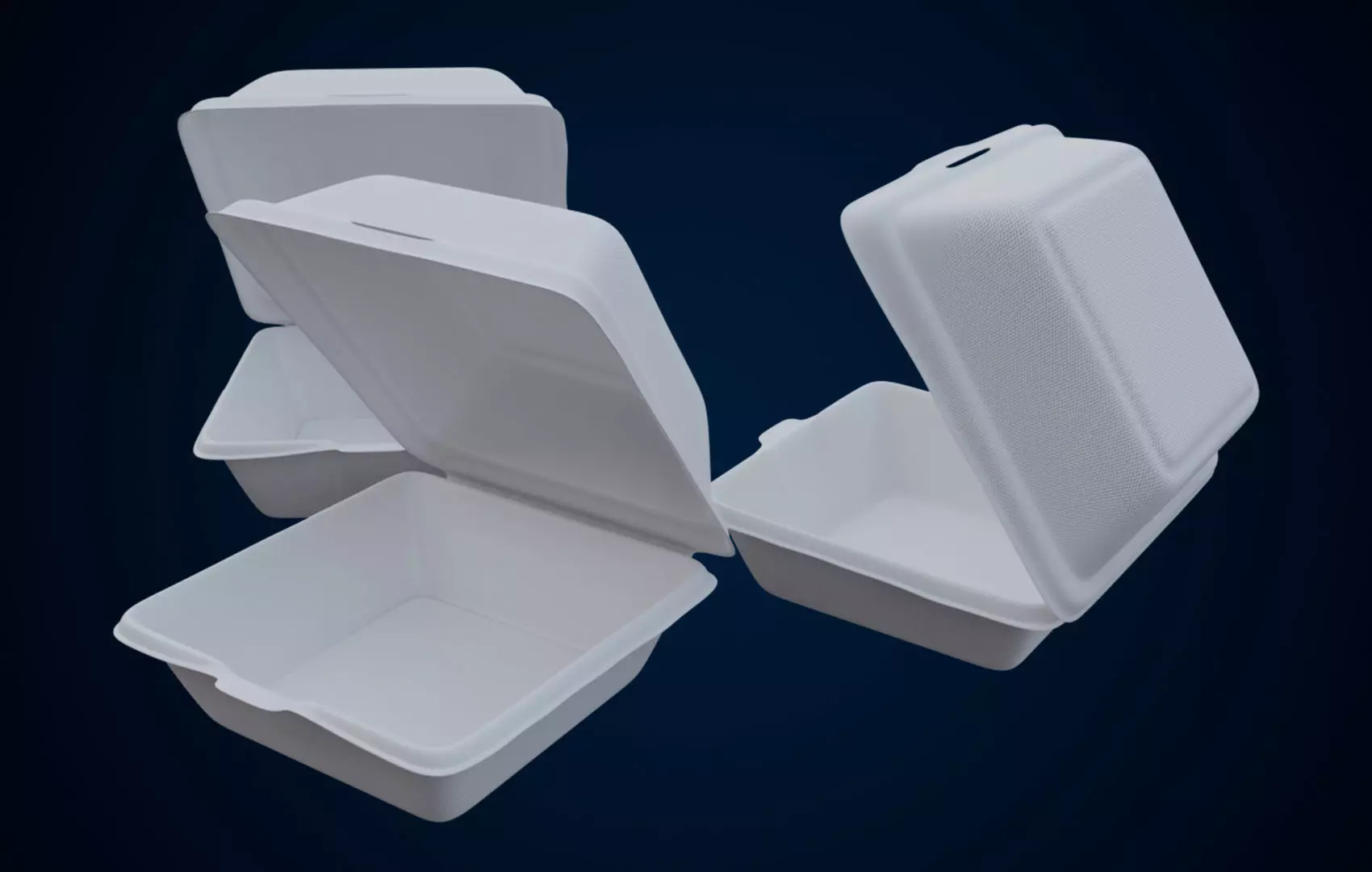 Disposable - Food Styrofoam Container 3D model_0