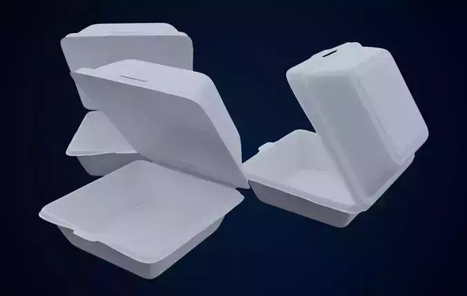 Disposable - Food Styrofoam Container 3D model