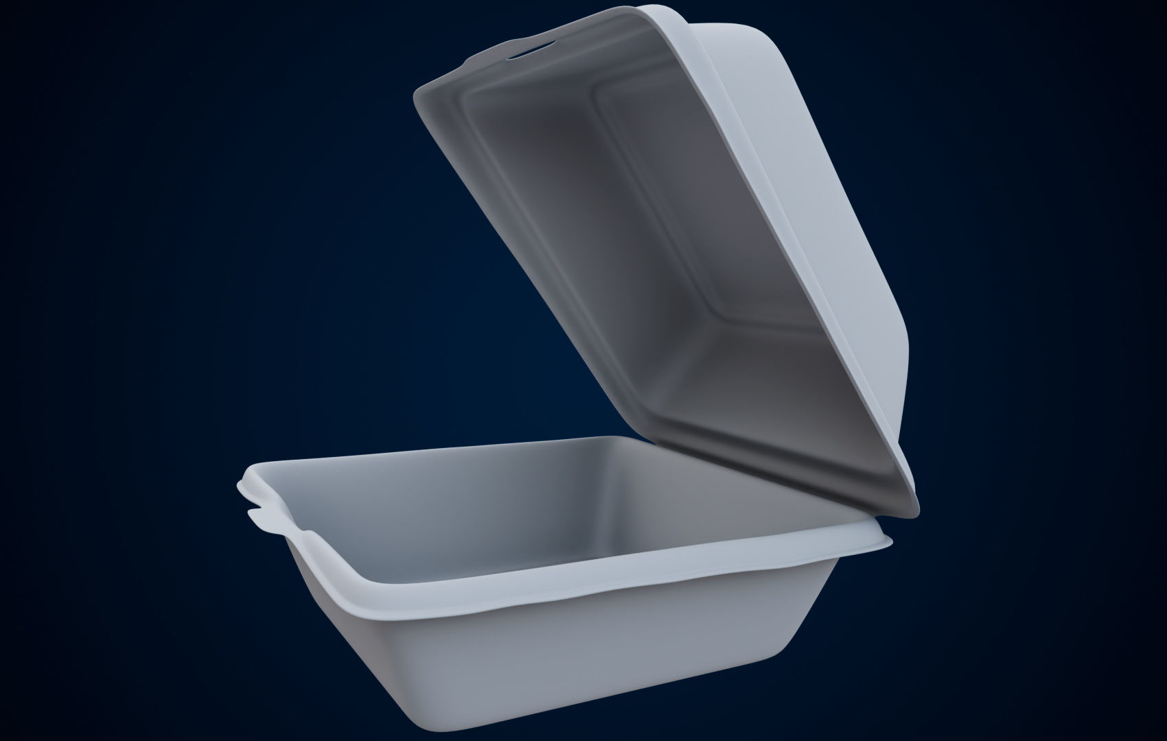Disposable - Food Styrofoam Container 3D model_30