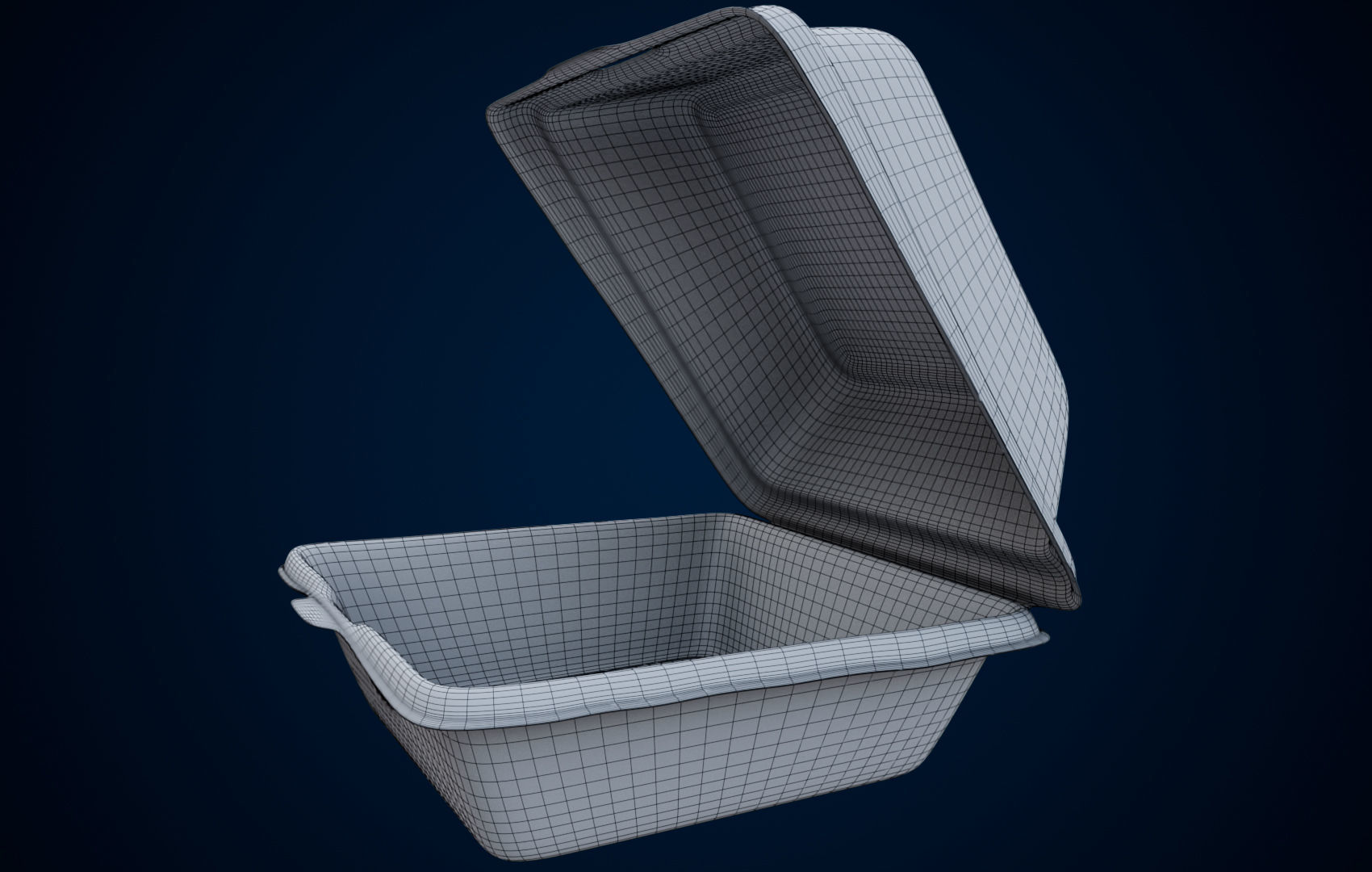 Disposable - Food Styrofoam Container 3D model_33