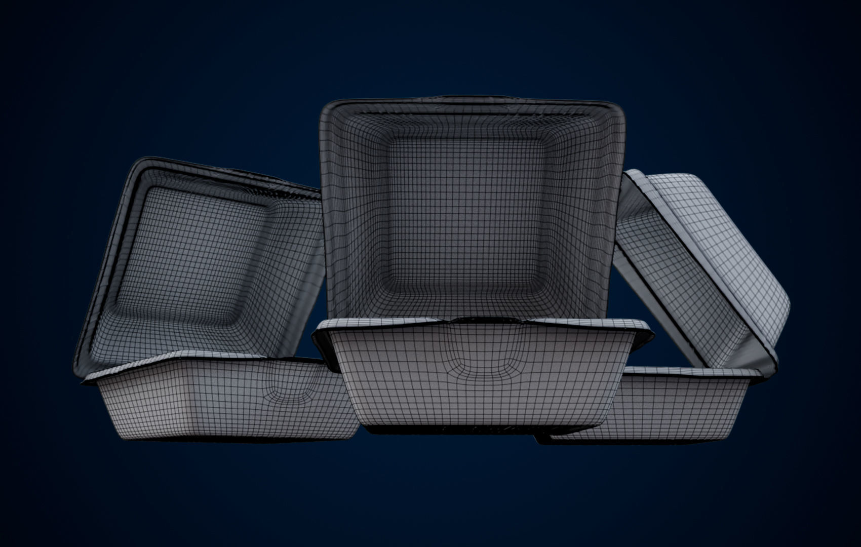 Disposable - Food Styrofoam Container 3D model_16