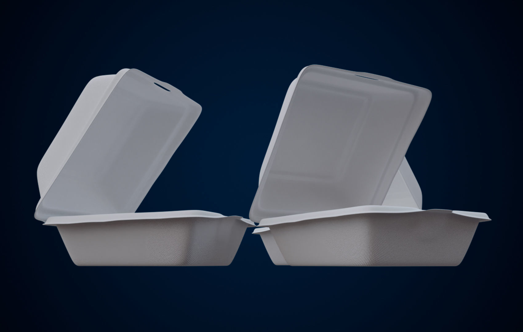 Disposable - Food Styrofoam Container 3D model_5