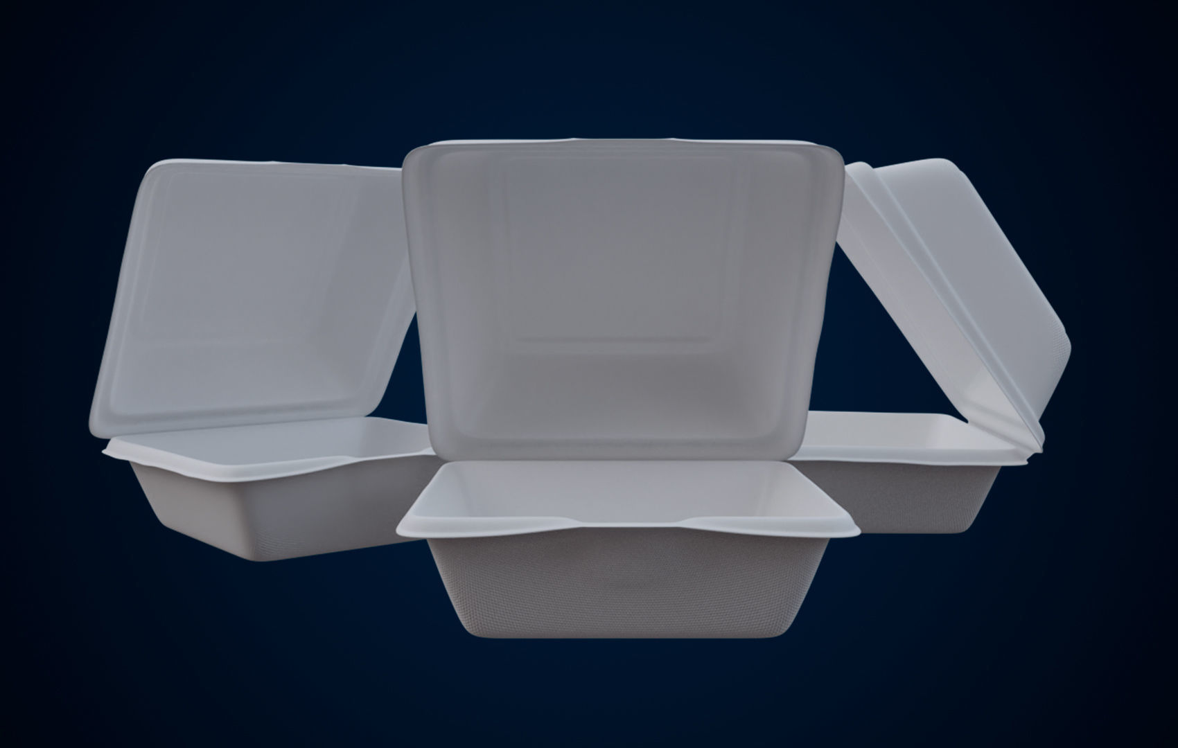 Disposable - Food Styrofoam Container 3D model_3