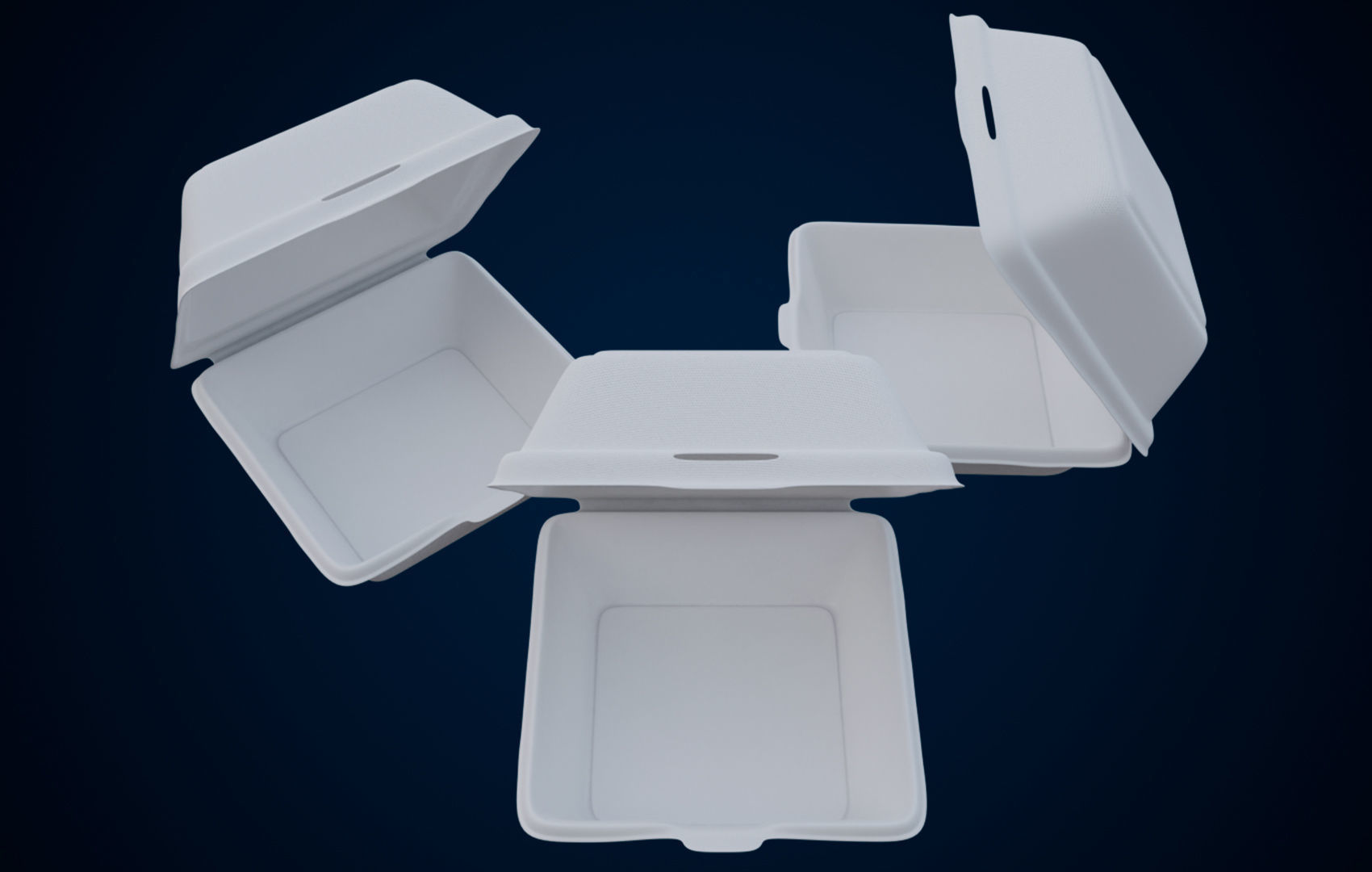 Disposable - Food Styrofoam Container 3D model_4