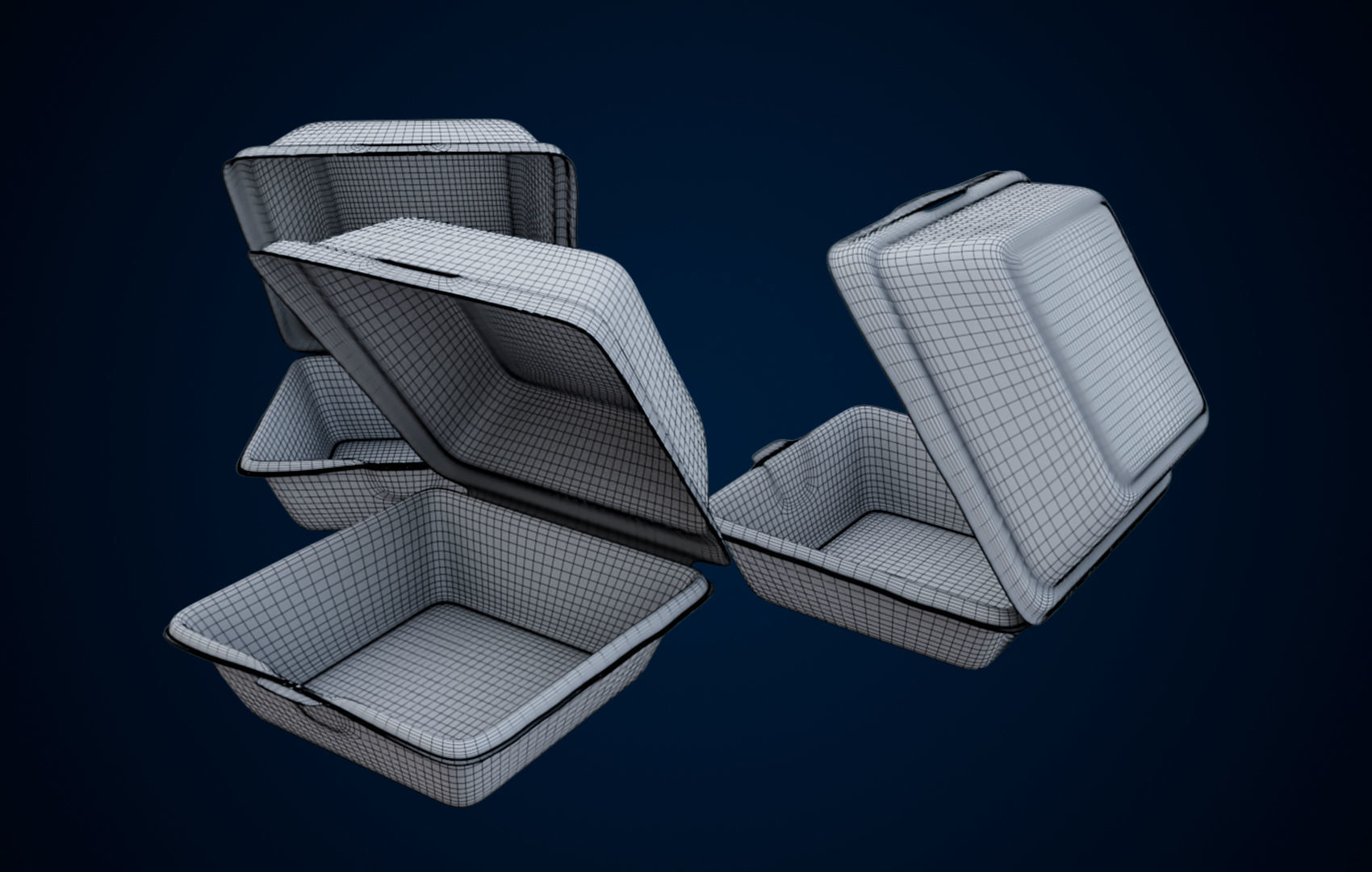 Disposable - Food Styrofoam Container 3D model_35