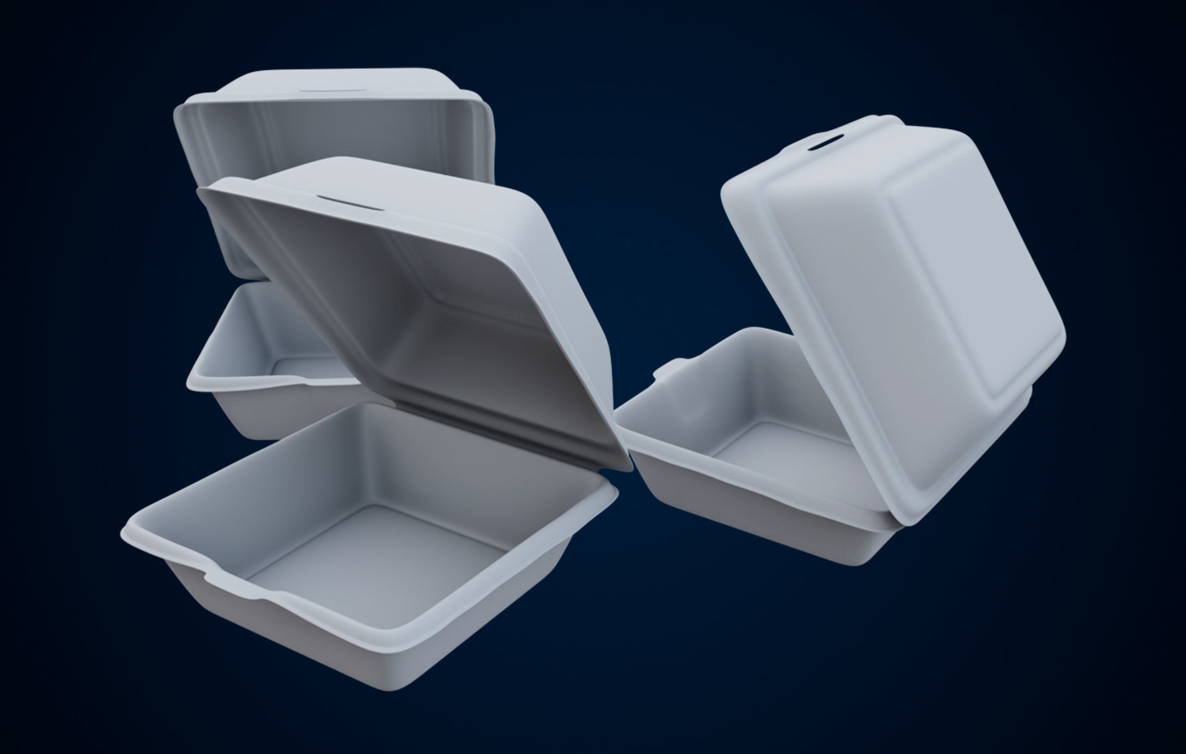 Disposable - Food Styrofoam Container 3D model_10