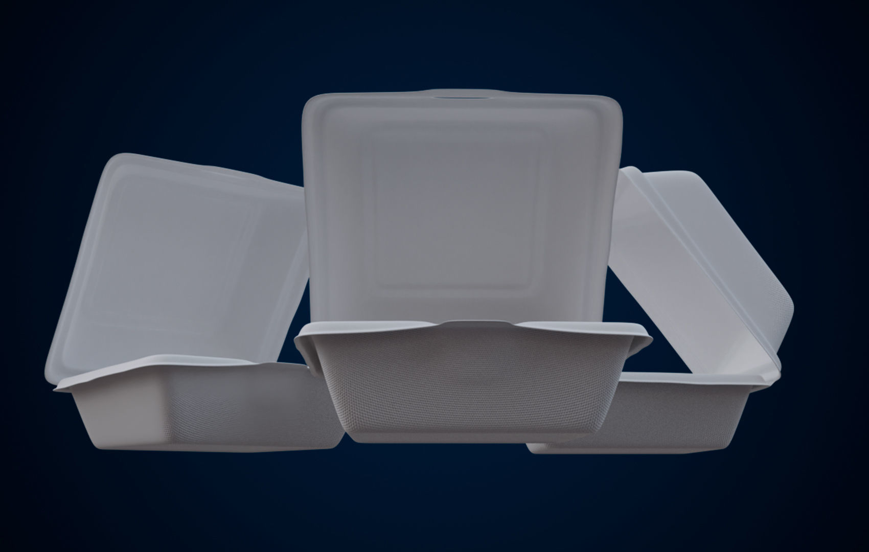 Disposable - Food Styrofoam Container 3D model_7