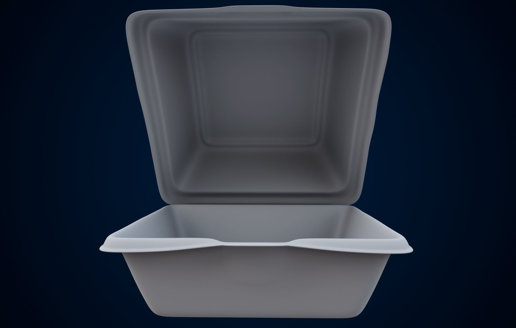 Disposable - Food Styrofoam Container 3D model_36