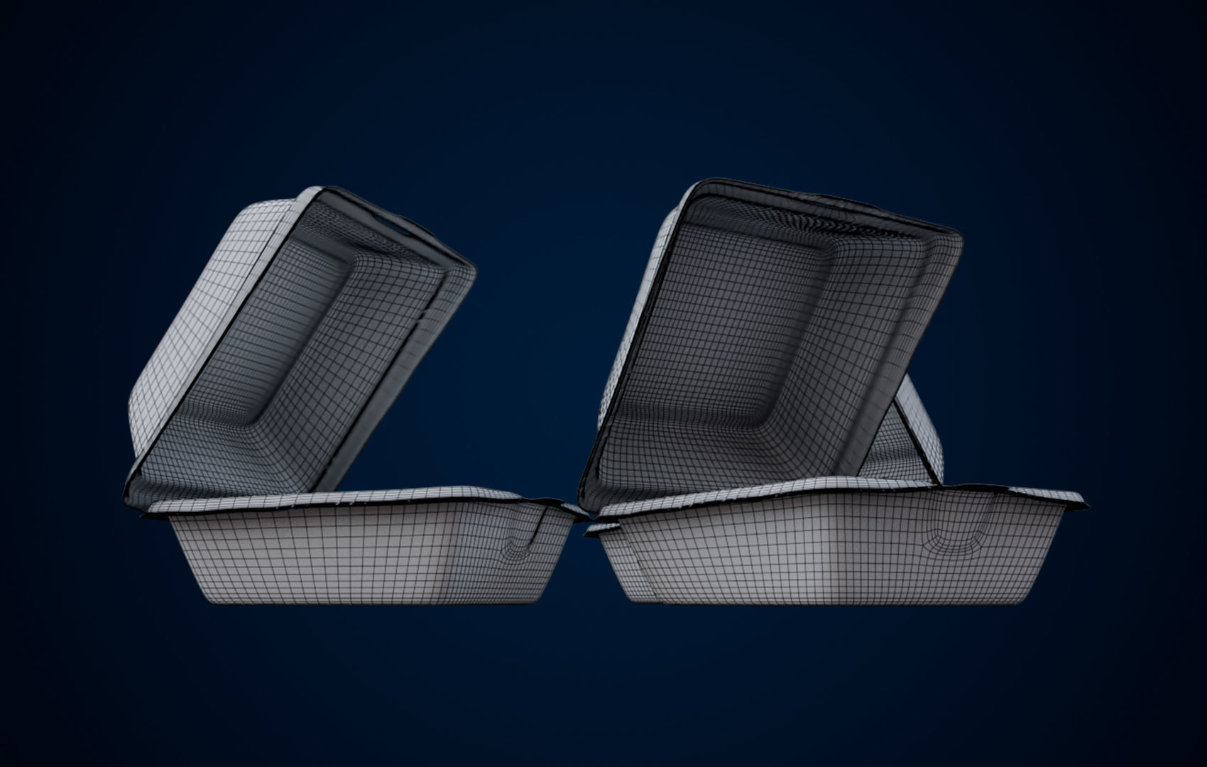 Disposable - Food Styrofoam Container 3D model_11