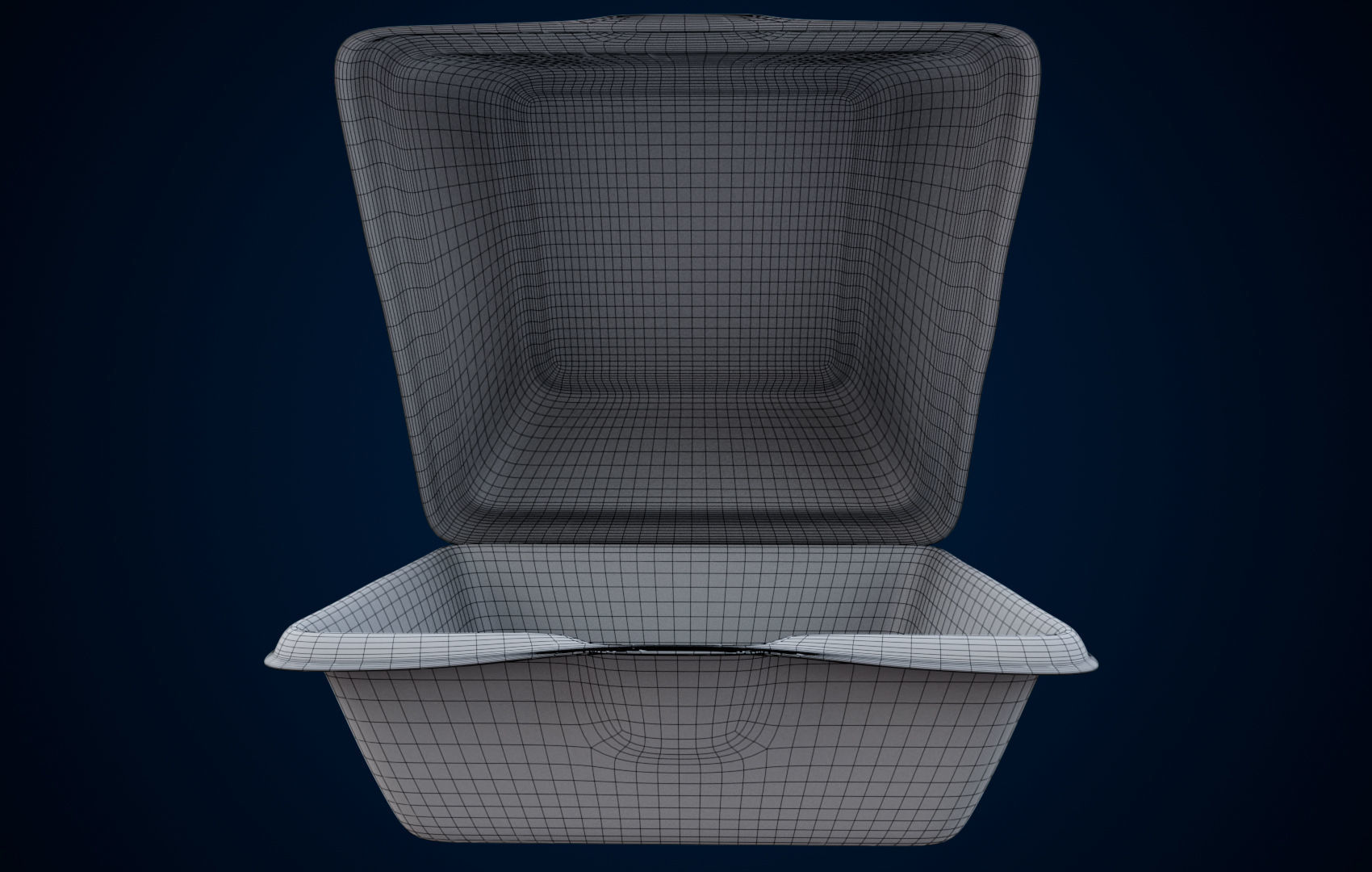 Disposable - Food Styrofoam Container 3D model_38