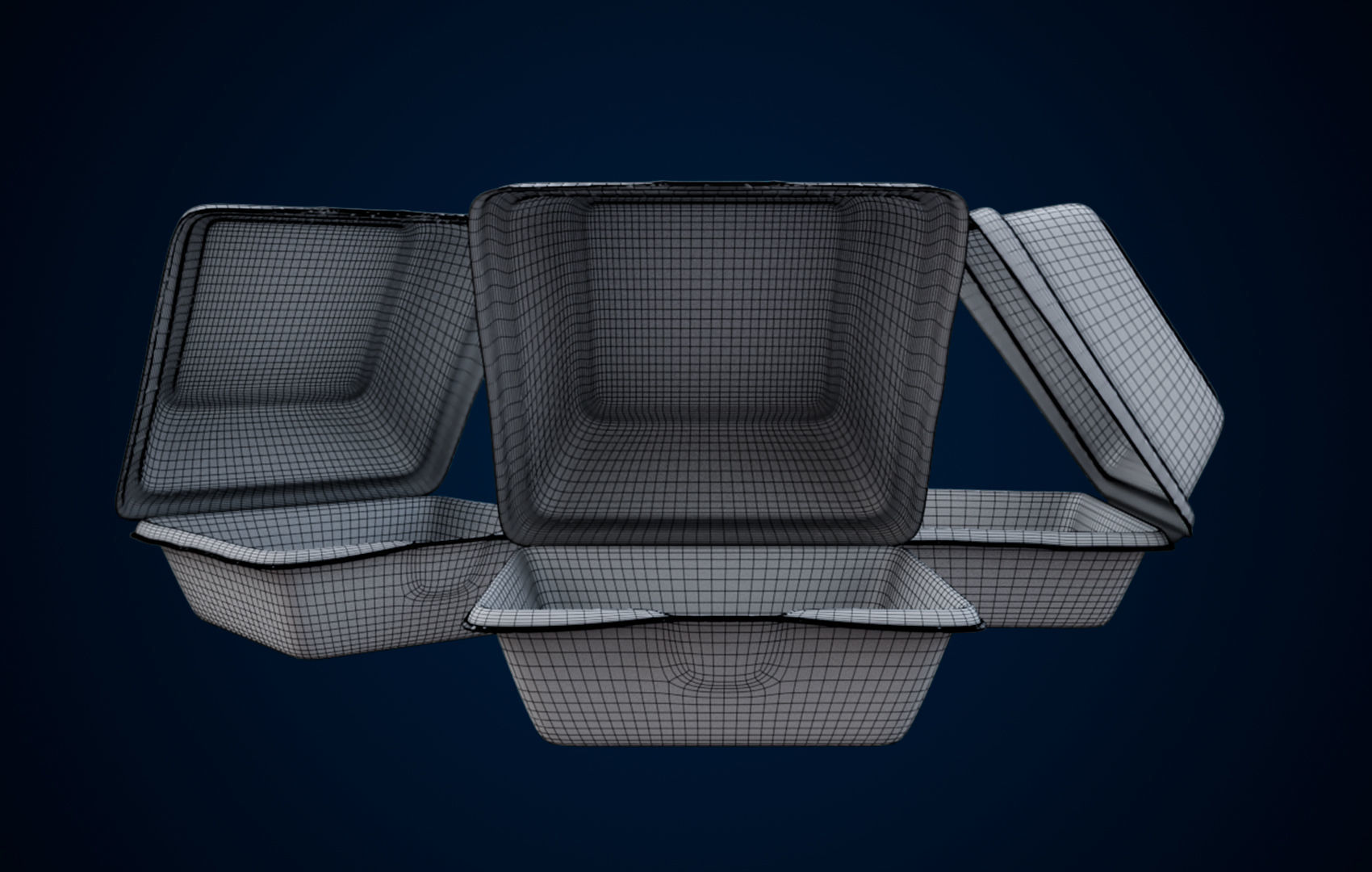 Disposable - Food Styrofoam Container 3D model_23