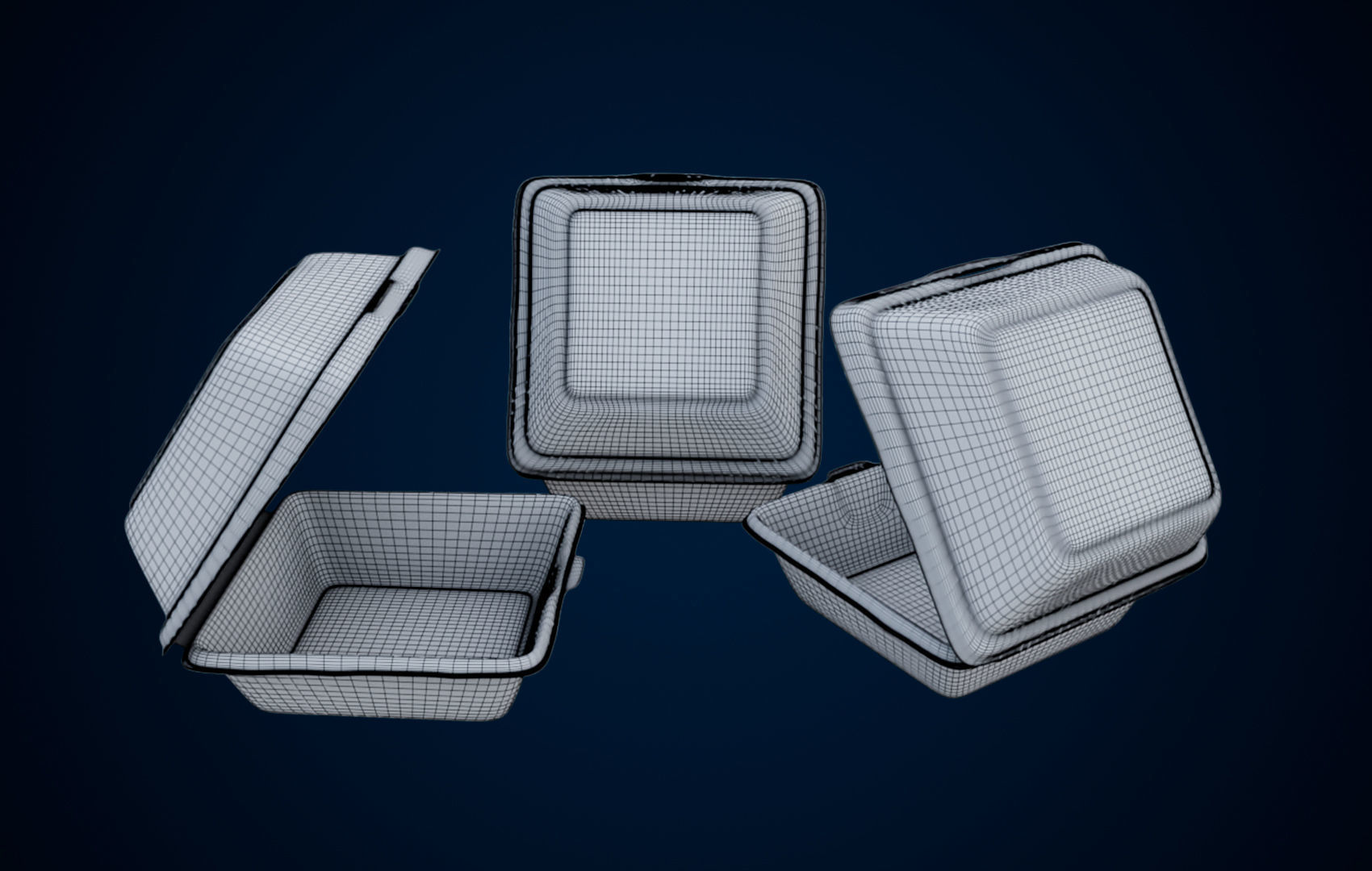 Disposable - Food Styrofoam Container 3D model_13