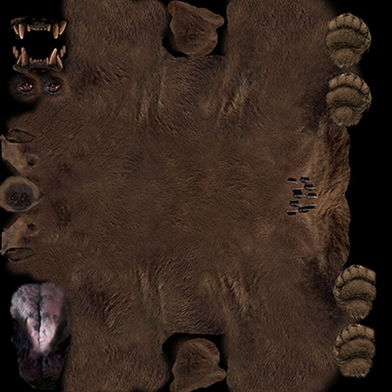 Pack - Bears Animated 3D model_6