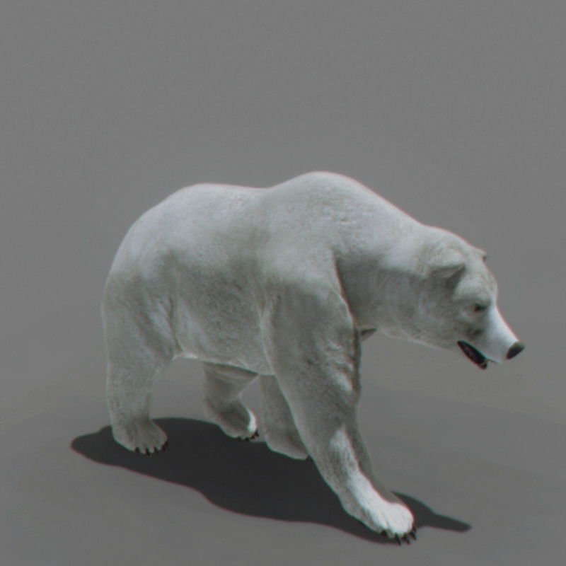 Pack - Bears Animated 3D model_16