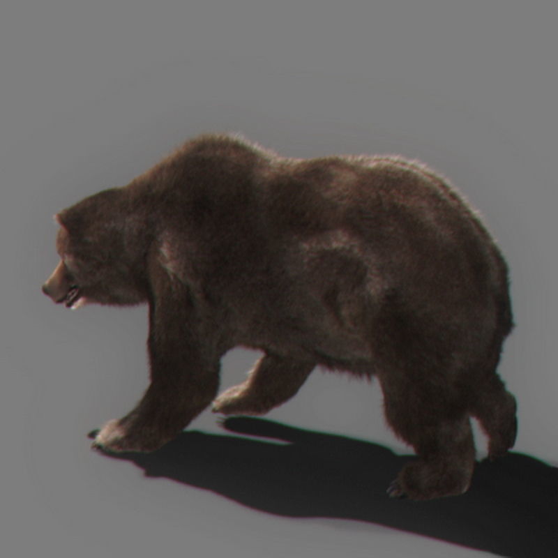 Pack - Bears Animated 3D model_4