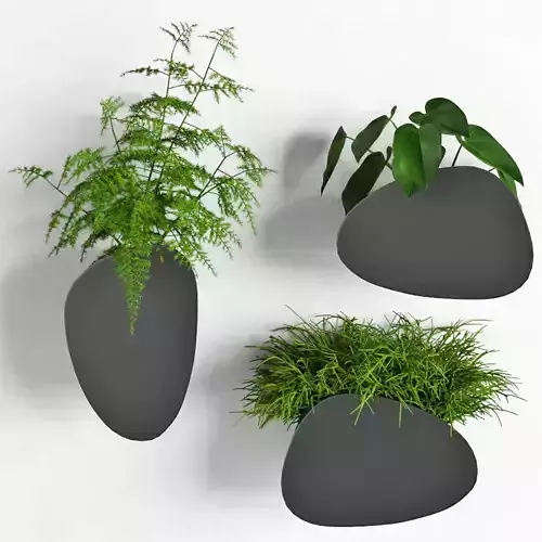 Houseplant 69 3D model