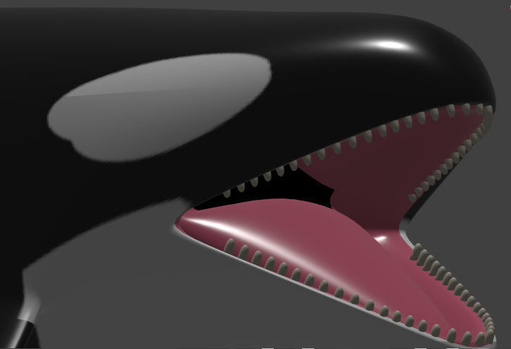 Orca Whale Low-poly 3D model_10