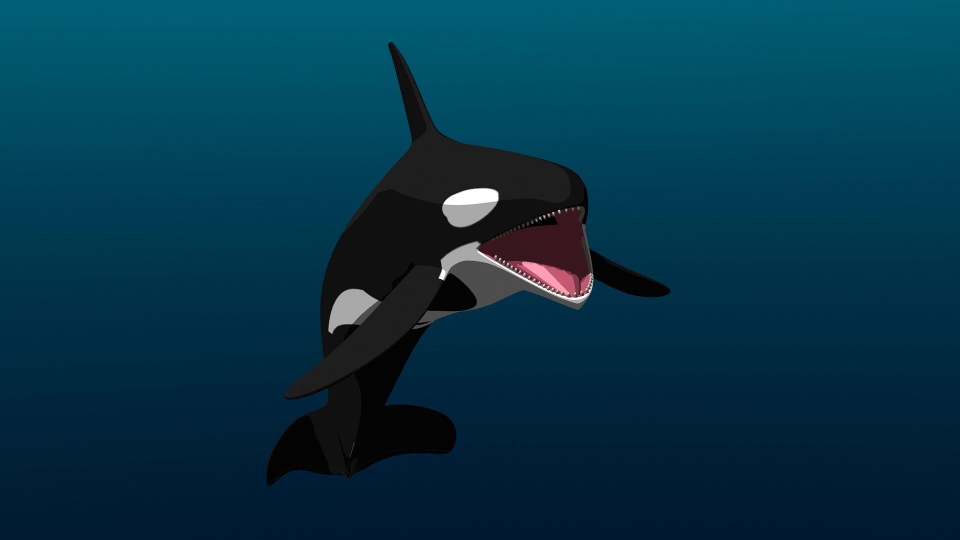 Orca Whale Low-poly 3D model_24