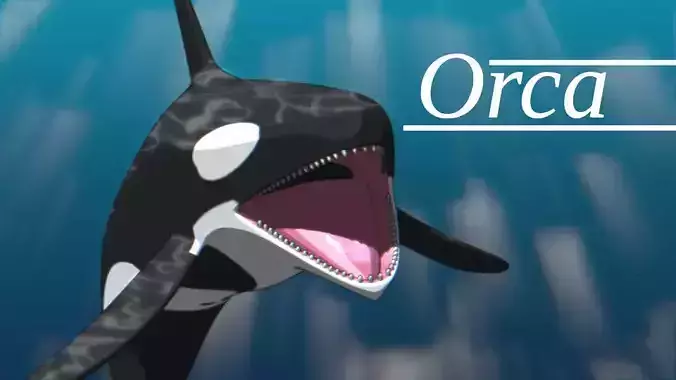 Orca Whale Low-poly 3D model