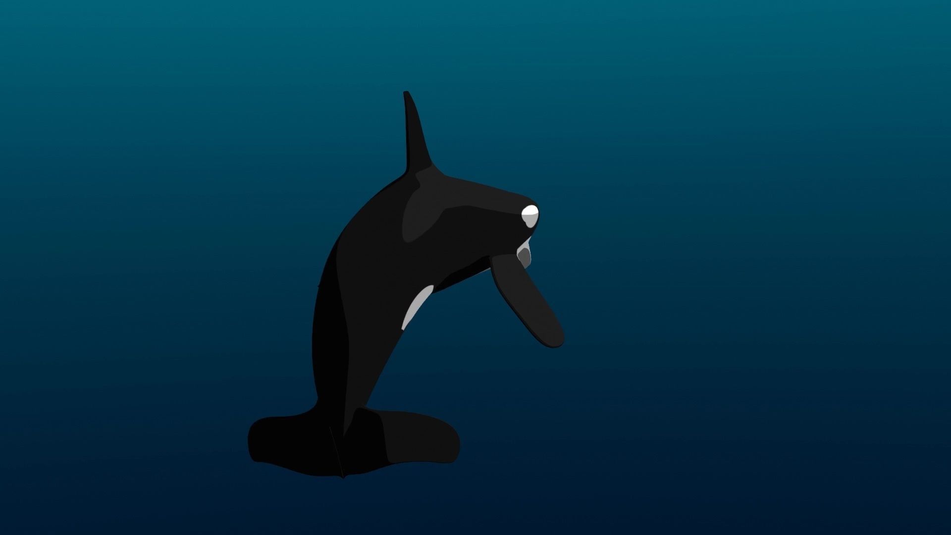 Orca Whale Low-poly 3D model_22
