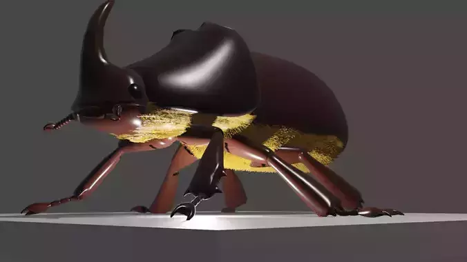 european rhino beetle Low-poly 3D model