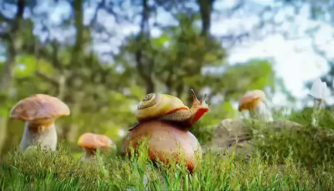 Forest Scene with Snail and Muchrooms Low-poly 3D model