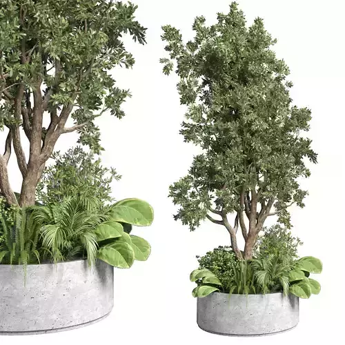 Outdoor plant 41-garden pot tree bush fern grass concrete vase