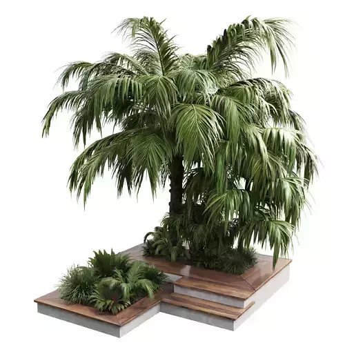  Outdoor plant  garden pot tree palm bush fern grass vase